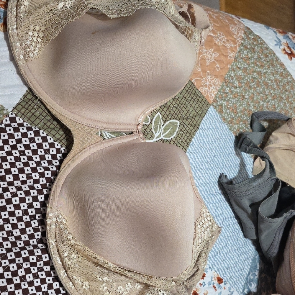 Elegant Lace Trim Bra in Beige